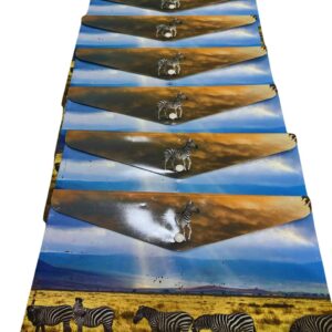 Wild Geographic Printed Button Folder – Zebra Design, A4 Size - Pack of 6